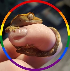 Meet your Posher, Ava